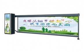 香蕉视频黄网站